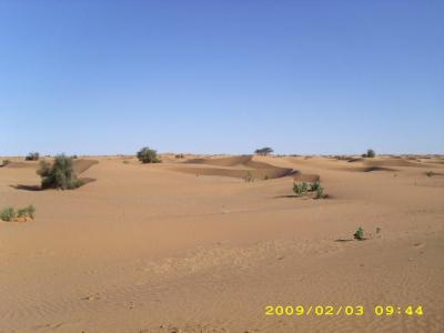 mauritania3.jpg