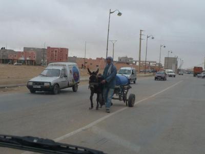 7-laayoune1.jpg